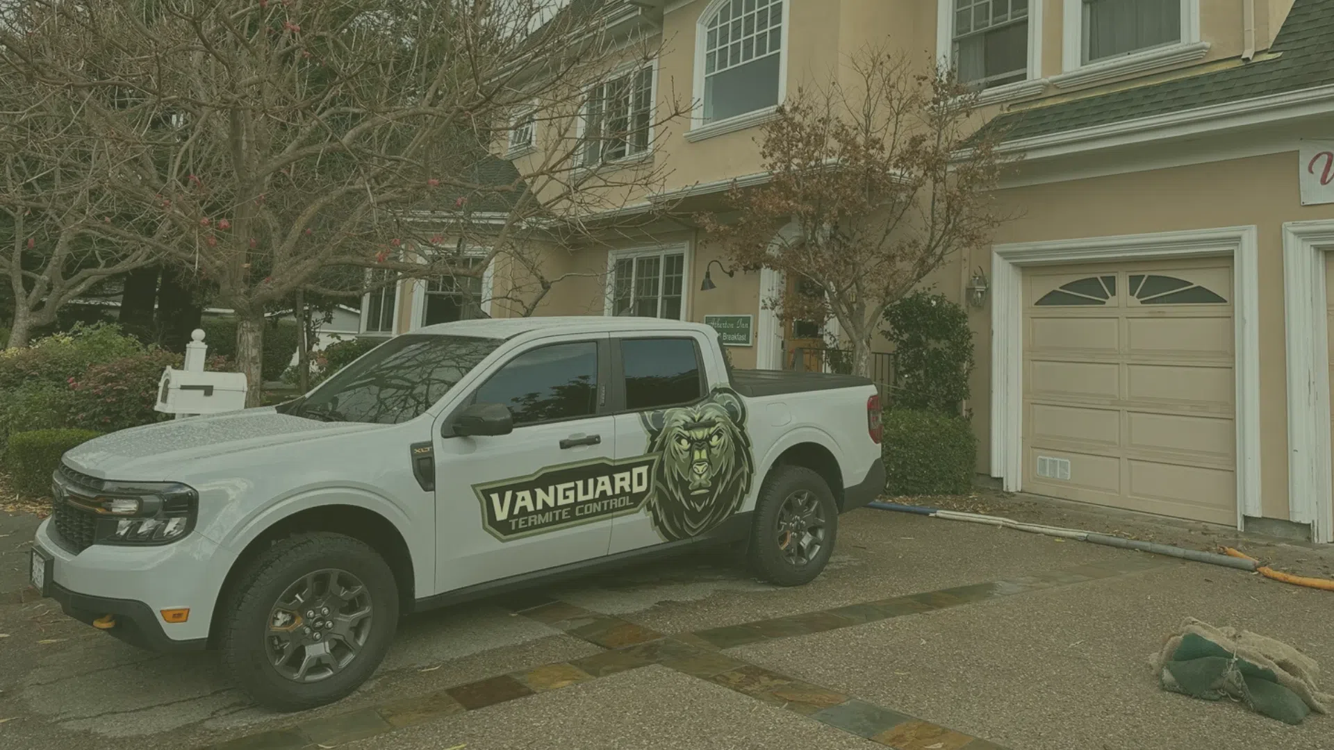 Vanguard Termite Control